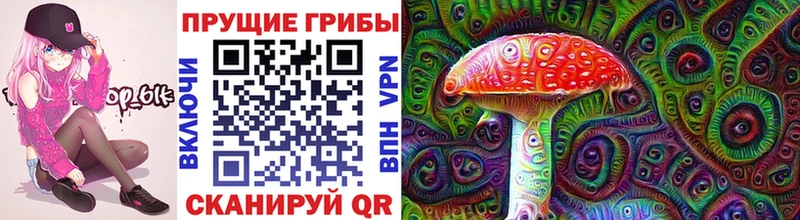 Псилоцибиновые грибы GOLDEN TEACHER  Купить закладки  Приморск 